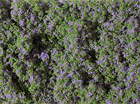 015-76931 - Blumenmatte violett (95 x 150 mm)